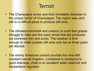 Terroir
• The Champagne wines owe their inimitable character to
the unique terroir of Champagne. The region was--and
still is--a difficult place to produce still wine.
• The climate(continental and oceanic) is such that grapes
struggle to ripen and the basic wines that are produced
are extremely thin and acidic. The weather is kind
enough to make potable still wine only two or three years
per decade.
• The mainly limestone subsoil provides the vine with
constant natural irrigation. Limestone is conducive to
good drainage, chalk is an excellent water reservoir and
temperature regulator.

 