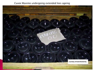 Cuvee Maxime undergoing extended lees ageing
 