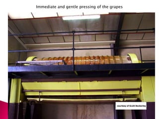 Immediate and gentle pressing of the grapes
 