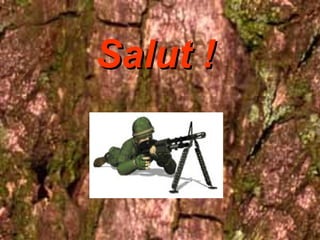 Salut ! 