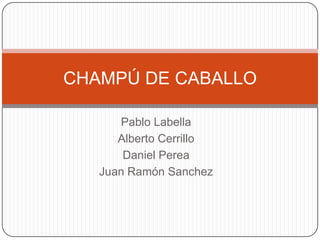 CHAMPÚ DE CABALLO

      Pablo Labella
      Alberto Cerrillo
       Daniel Perea
   Juan Ramón Sanchez
 