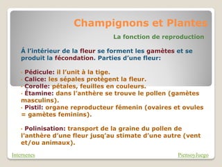 Champignons et Plantes
                                La fonction de reproduction

   Á l’intérieur de la fleur se forment les gamètes et se
   produit la fécondation. Parties d’une fleur:

   • Pédicule: il l’unit à la tige.
   • Calice: les sépales protègent la fleur.
   • Corolle: pétales, feuilles en couleurs.
   • Étamine: dans l’anthère se trouve le pollen (gamètes
   masculins).
   • Pistil: organe reproducteur fémenin (ovaires et ovules
   = gamètes feminins).

   • Polinisation: transport de la graine du pollen de
   l’anthère d’une fleur jusq’au stimate d’une autre (vent
   et/ou animaux).

Internenes                                          PiensoyJuego
 