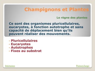 Champignons et Plantes
                             Le règne des plantes

   Ce sont des organismes pluricellulaires,
   eucaryotes, à fonction autotrophe et sans
   capacité de déplacement bien qu’ils
   peuvent réaliser des mouvements.

   •   Pluricellulaires
   •   Eucaryotes
   •   Autotrophes
   •   Fixes au substrat



Internenes                               PiensoyJuego
 