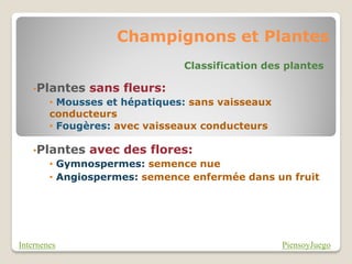 Champignons et Plantes
                             Classification des plantes

   •Plantes sans fleurs:
      • Mousses et hépatiques: sans vaisseaux
      conducteurs
      • Fougères: avec vaisseaux conducteurs

   •Plantes avec des flores:
      • Gymnospermes: semence nue
      • Angiospermes: semence enfermée dans un fruit




Internenes                                      PiensoyJuego
 