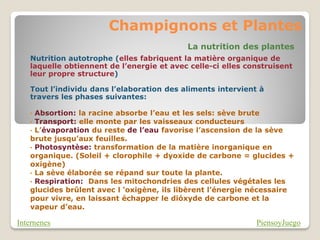 Champignons et Plantes
                                           La nutrition des plantes
   Nutrition autotrophe (elles fabriquent la matière organique de
   laquelle obtiennent de l’energie et avec celle-ci elles construisent
   leur propre structure)

   Tout l’individu dans l’elaboration des aliments intervient à
   travers les phases suivantes:

   • Absortion: la racine absorbe l’eau et les sels: sève brute
   • Transport: elle monte par les vaisseaux conducteurs
   • L’évaporation du reste de l’eau favorise l’ascension de la sève
   brute jusqu’aux feuilles.
   • Photosyntèse: transformation de la matière inorganique en
   organique. (Soleil + clorophile + dyoxide de carbone = glucides +
   oxígène)
   • La sève élaborée se répand sur toute la plante.
   • Respiration: Dans les mitochondries des cellules végétales les
   glucides brûlent avec l ‘oxigène, ils libèrent l’énergie nécessaire
   pour vivre, en laissant échapper le dióxyde de carbone et la
   vapeur d’eau.

Internenes                                                   PiensoyJuego
 