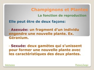 Champignons et Plantes
                  La fonction de reproduction
   Elle peut être de deux façons:

   •Asexuée: un fragment d’un individu
   engendre une nouvelle plante. Ex.
   Géranium.

   •Sexuée: deux gamètes qui s’unissent
   pour former une nouvelle plante avec
   les caractéristiques des deux plantes.


Internenes                            PiensoyJuego
 