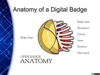 Anatomy of a Digital Badge
 