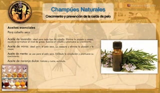 Champúes Naturales, recetas antiguas