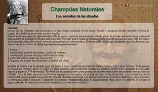 Champúes Naturales, recetas antiguas