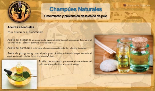 Que será si a los cabellos poner el aceite de girasol