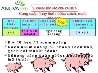 V. CHĂM SÓC HEO CON CAI SỮ A
                   Cung caáp ñaày ñuû nöôùc saïch, maùt
                                 cho heo
       N hu          A ù p lö ïc                 Môùi
                                     G oùc g a é n       C h ie à u c a o
     c aàu          ( m l /p h u ù   nuùm uoá ng         nuùm uoá ng
( l í t /n g a ø           t)                                 (c m)
         y)         2 5 0 -5 0 0        N g h ie â n g
      1 - 2                                                 25 - 35
                      m l /phút          xuoá ng


 8 – 10 h e o / 1 n u ù m u o á n g
 G a é n nuùm uoá ng ôû pha à n s a øn hôû,
  g a à n nô i tho a ù t nö ô ù c
 Ñ öôøng oá ng da ã n nöôùc khoâ ng ñe å
  lo ä t h ie â n
 