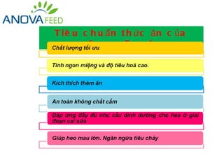 T i ê u c h u ẩn t h ức ăn c ủa
         A no va Fe e d
 