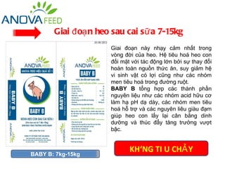 Giai đ oạ n heo sau cai s ữ a 7-15kg
                      Giai đoạn này nhạy cảm nhất trong
                      vòng đời của heo. Hệ tiêu hoá heo con
                      đối mặt với tác động lớn bởi sự thay đổi
                      hoàn toàn nguồn thức ăn, suy giảm hệ
                      vi sinh vật có lợi cũng như các nhóm
                      men tiêu hoá trong đường ruột.
                      BABY B tổng hợp các thành phần
                      nguyên liệu như các nhóm acid hữu cơ
                      làm hạ pH dạ dày, các nhóm men tiêu
                      hoá hỗ trợ và các nguyên liêu giàu đạm
                      giúp heo con lấy lại cân bằng dinh
                      dưỡng và thúc đẩy tăng trưởng vượt
                      bậc.



BABY B: 7kg-15kg
                             KHÔNG TI U CHẢ Y
 