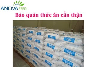 Bảo quản thức ăn cẩn thận
 