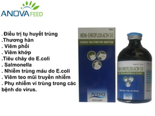 . Điềutrị tụ huyết trùng
.Thương hàn
. Viêm phổi
. Viêm khớp
.Tiêu chảy do E.coli
. Salmonella
. Nhiễm trùng máu do E.coli
. Viêm teo mũi truyền nhiễm
. Phụ nhiễm vi trùng trong các
bệnh do virus.
 