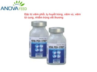 Đặc trị viêm phổi, tụ huyết trùng, viêm vú, viêm
tử cung, nhiễm trùng vết thương
 