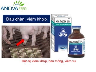 Đau chân, viêm khớp




       Đặc trị viêm khớp, đau móng, viêm vú.
 