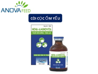 CÒI CỌ C Ố M YẾ U
 