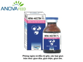 Phòng ngừa và điều trị ghẻ, các loại giun
 tròn như: giun đũa, giun thận, giun tim.
 
