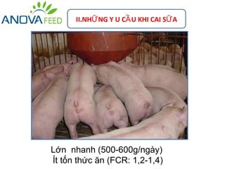 II.NHỮ NG Y U CẦ U KHI CAI SỮ A




Lớn nhanh (500-600g/ngày)
Ít tốn thức ăn (FCR: 1,2-1,4)
 
