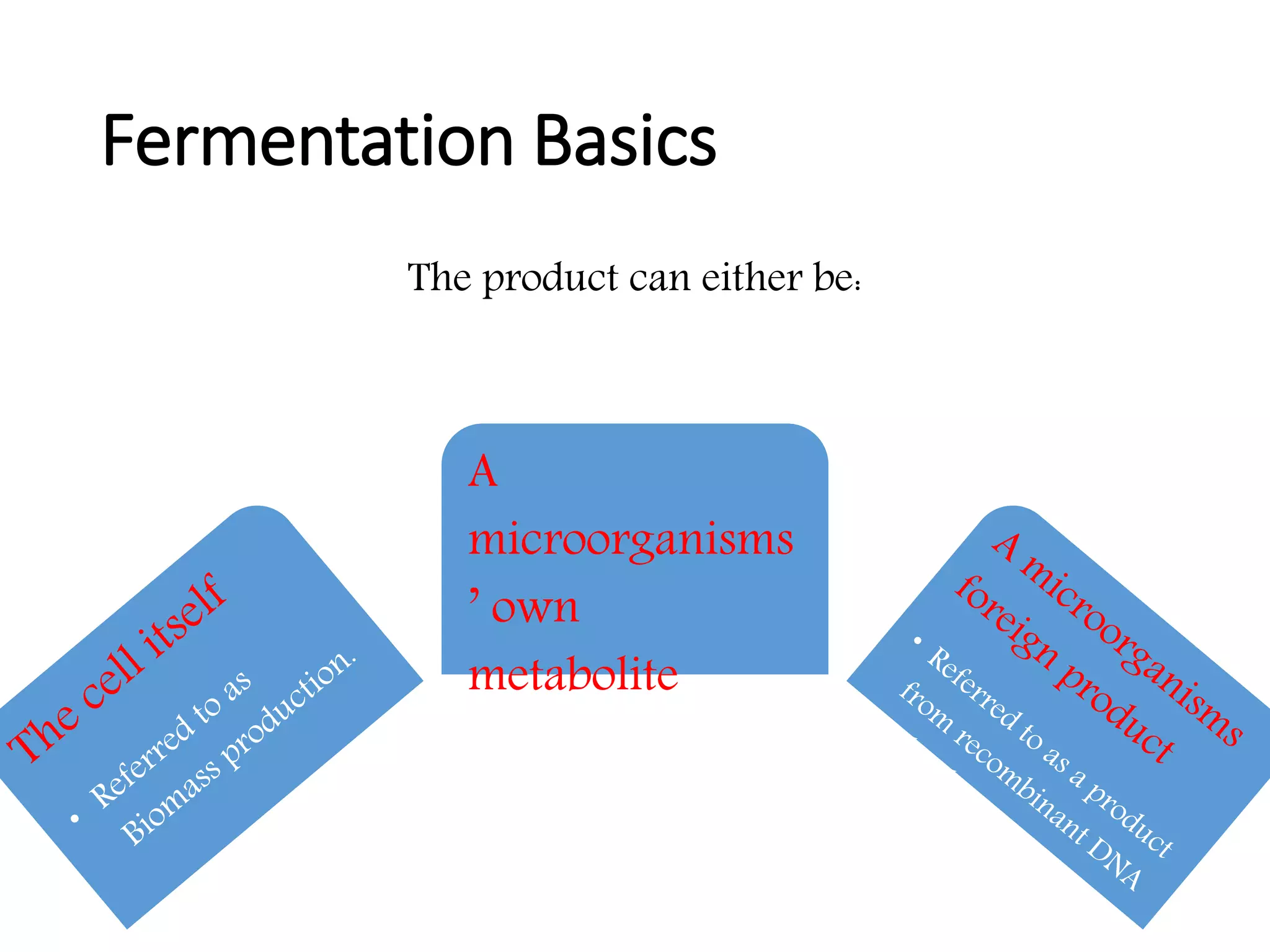 Down Stream Processing | PPTX