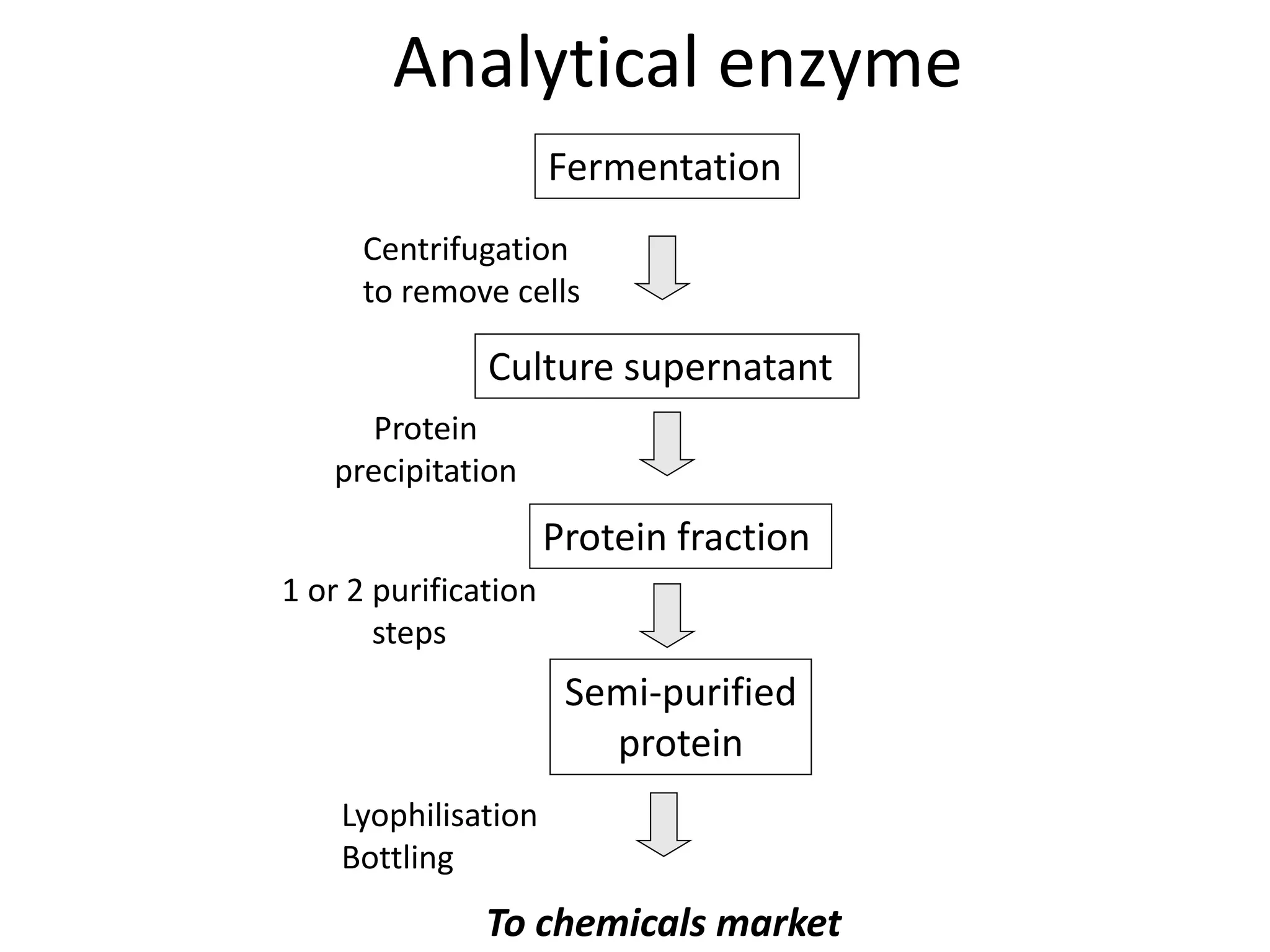 Fermentation
Culture supernatant
Centrifugation
to remove cells
Protein
precipitation
Protein fraction
1 or 2 purification
steps
Semi-purified
protein
Lyophilisation
Bottling
To chemicals market
Analytical enzyme
 