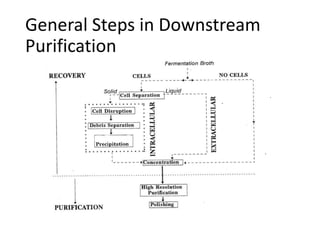 General Steps in Downstream
Purification
 
