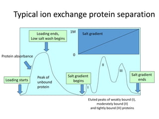 Typical ion exchange protein separation
Loading starts
Loading ends,
Low salt wash begins
Protein absorbance
Peak of
unbound
protein
Salt gradient
0
1M
Salt gradient
begins
Salt gradient
ends
Eluted peaks of weakly bound (I),
moderately bound (II)
and tightly bound (III) proteins
II
III
I
 