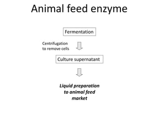 Fermentation
Culture supernatant
Centrifugation
to remove cells
Liquid preparation
to animal feed
market
Animal feed enzyme
 