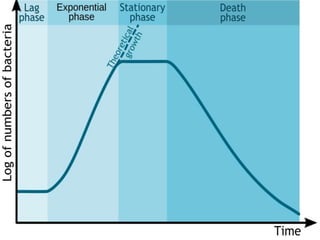 Down Stream Processing | PPTX