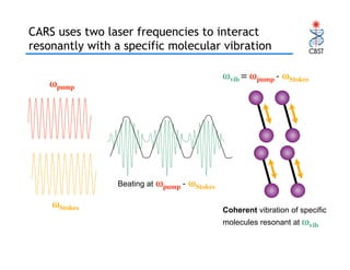 Raman and Coherent anti-Stokes Raman Scattering (CARS) Spectroscopy and ...