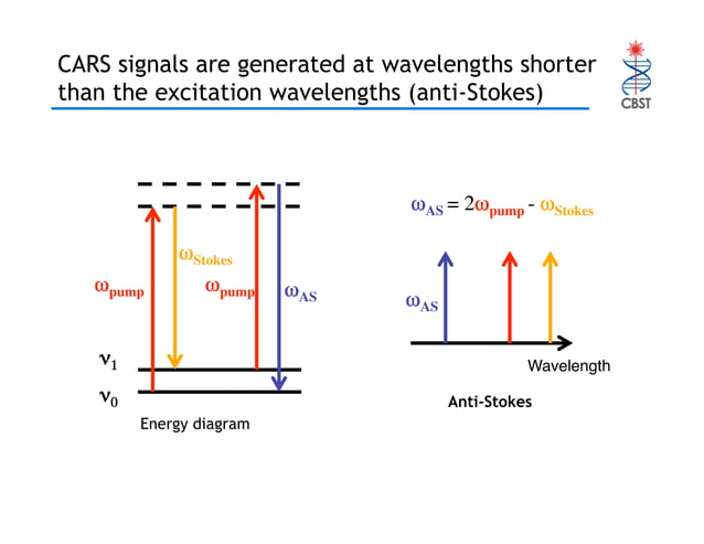 Raman and Coherent anti-Stokes Raman Scattering (CARS) Spectroscopy and ...