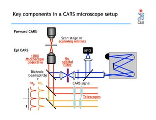 Raman and Coherent anti-Stokes Raman Scattering (CARS) Spectroscopy and ...
