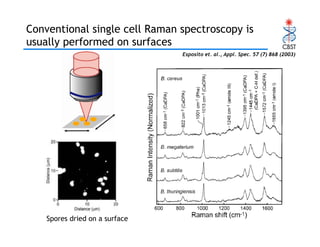 Raman and Coherent anti-Stokes Raman Scattering (CARS) Spectroscopy and ...