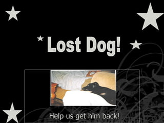 Help us get him back! Lost Dog! 