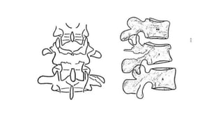 Chance Fracture