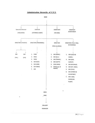 Administration hierarchy of C.C.L




                                    14 | P a g e
 