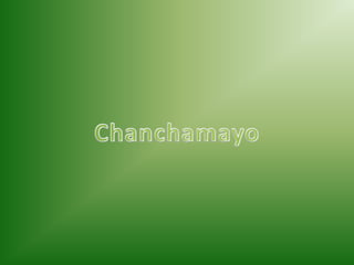 Chanchamayo