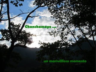 Chanchamayo ...




         un marivillloso momento
 