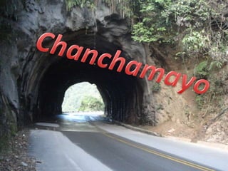 Chanchamayo 