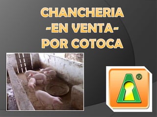 CHANCHERIA -EN VENTA-  POR COTOCA 