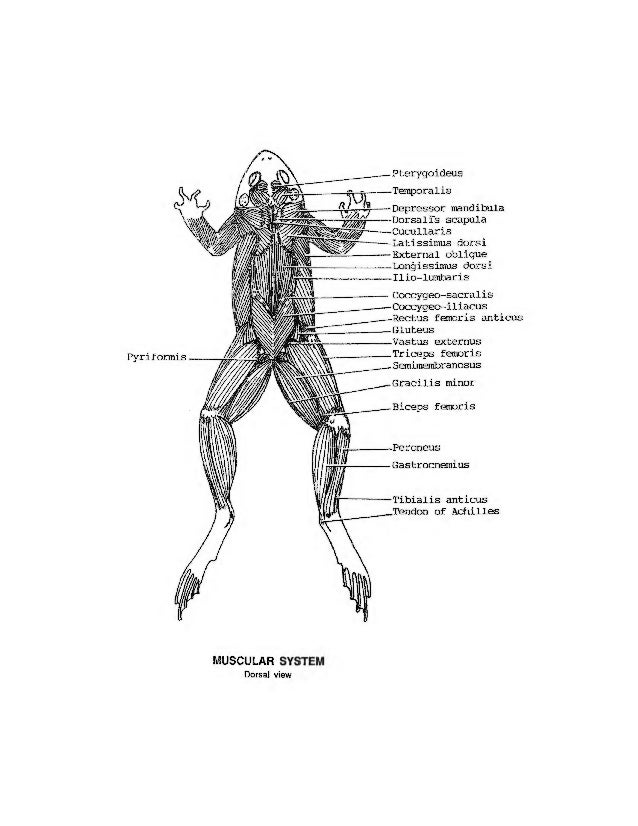 Atlas of the From
