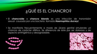 Chancroide | PDF