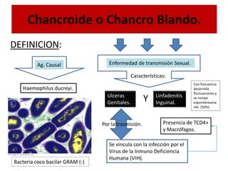 Chancroide y virus del herpes simple | PDF