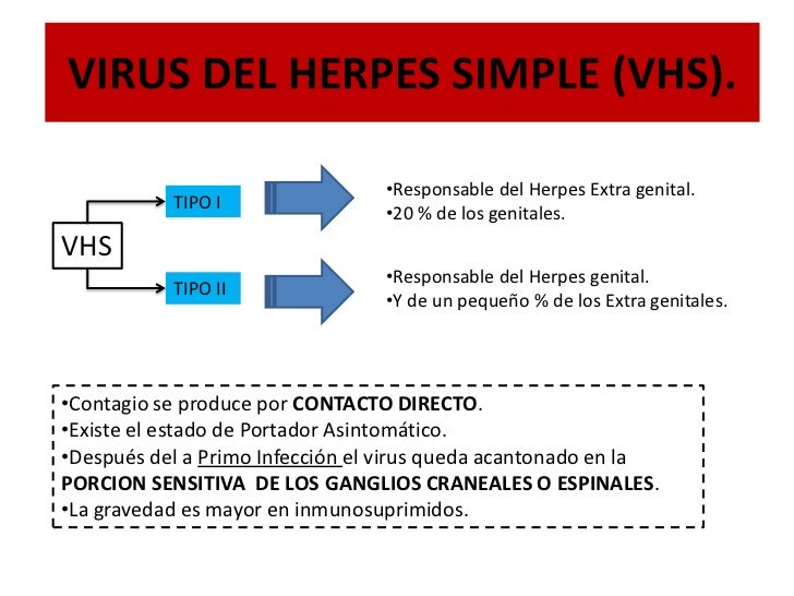 Chancroide y virus del herpes simple Chancroide y virus del herpes simple