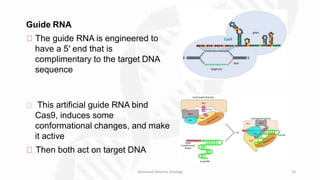 Guide Dna CRISPR-Cas system | PPTX