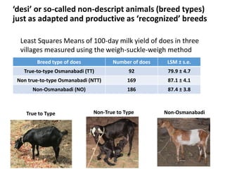Livestock breed purity: Whose goal?
