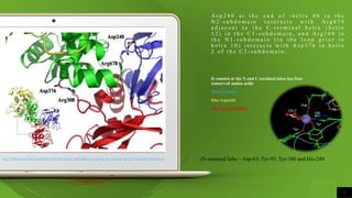 A s p 2 4 0 a t t h e e n d o f - h e l i x 8 b i n t h e
N 2 - s u b d o m a i n i n t e r a c t s w i t h A r g 6 7 8
a d j a c e n t t o t h e C - t e r m i n a l h e l i x ( h e l i x
1 2 ) i n t h e C 1 - s u b d o m a i n , a n d A r g 3 0 8 i n
t h e N 1 - s u b d o m a i n ( i n t h e l o o p p r i o r t o
h e l i x 1 0 ) i n t e r a c t s w i t h A s p 3 7 6 i n h e l i x
2 o f t h e C 1 - s u b d o m a i n .
It consists at the N and C terminal lobes has four
conserved amino acids
Two Tyrosine
One Aspartic
And One Histadine
5
(N-terminal lobe – Asp-63, Tyr-95, Tyr-188 and His-249Fig."Transcriptional regulation of transferrin and albumin genes by retinoic acid in human hepatoma
 