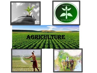 AGRICULTURE

 