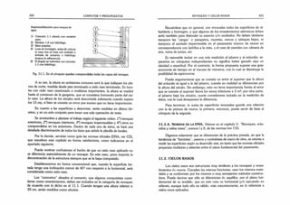222 CÓMPUTOS Y PRESUPUESTOS
Impermeabillzación para tanques de
agua:
1)
2)
3)
4)
5)
Concreto 1.1 alisado con cemento
puro.
Mortero 1:2 con hidrófugo,
ídem anterior.
Losa de hormigón; antes de colocar
la capa tres se trata con enduido o
lechada de cemento e hidrófugo
(mejora la adherencia).
El ángulo se redondea con concreto
1:1 con hidrófugo.
Fig. 11.1. En el cómputo quedan comprendidas todas las capas del revoque.
A su vez, la altura en ambientes comunes será la que indiquen los pla­
nos de corte, medida desde piso terminado a cielo raso terminado. En loca­
les con cielo raso casetonado o molduras importantes, la altura se medirá
hasta el comienzo de la garganta, que se considera formando parte del cie­
lo raso. La altura de los zócalos será descontada solamente cuando supere
los 15 crp, si bien se comete un error por exceso que no tiene importancia.
En cuanto a las superficies a descontar, serán medidas en último tér­
mino, y en un solo conjunto para tener una sola operación de resta.
Se acostumbra a plantear el trabajo según el siguiente orden: 1°) revoques
exteriores; 2o
) revoques interiores; 3°) revoques impermeables y 4o
) otros no
comprendidos en los anteriores. Dentro de cada uno de éstos, se hará una
detallada discriminación de todos los tipos que señale la planilla de locales.
Por lo demás, servirán como guía las normas oficiales (DNA, ver CD),
que resuelven este capítulo en forma satisfactoria, como indicamos en el
apartado siguiente.
Puede motivar confusiones el hecho de que un cielo raso aplicado no
se diferencia esencialmente de un revoque. En este caso, poco importa la
denominación de la estructura siempre que se la haya computado.
Estableceremos en forma convencional que, cuando la superficie tra­
tada tenga una inclinación menor de 45° con respecto a la horizontal, será
considerada como cielo raso.
Los “concretos” alisados al cemento, que algunos computistas consi­
deran como revestimientos, deben ser incluidos en la categoría de revoques
de acuerdo con lo dicho en el 11.1. Cuando tengan una altura inferior a
30 cm, serán medidos como zócalos.
REVOQUES Y CIELOS RASOS 223
Recuérdese que en general, son revocadas todas las superficies de al­
bañilería u hormigón, y que algunos de los revestimientos atérmicos deben
serlo también para disimular su aspecto v/o ocultarlos. No deben olvidarse
tampoco las "cargas’ o parapetos, muretes, cercos y tabiques bajos, ni
tampoco el azotado impermeable en el paramento interior de muros en
correspondencia con ladrillos a la vista, y e! caso de paredes con cámara de
aire, toma de juntas, etc.
Es razonable incluir en una sola medición al jaharro y al enlucido: se­
pararlos en cómputos independientes no significa haber ganado algo en
claridad o exactitud. Por el contrario, la forma propuesta supone una gran
economía de tiempo en el manejo de números, con lo cual se disminuye la
posibilidad de equivocarse.
Puede argumentarse que se comete un error al suponer que la altura
del enlucido es igual a la del jaharro, cuando en realidad se diferencian por
la altura del zócalo. Sin embargo, esto no tiene importancia frente al error
que se comete al suponer llenos los vanos inferiores a 3 m2; por otra parte,
el jaharro bajo los zócalos, puede considerarse incluido en la medición de
éstos, con lo cual desaparece la diferencia.
Para terminar, la suma de superficies revocadas guarda una relación
con la de pintura de muros; la primera, entonces, puede servir de base al
cómputo de la segunda.
11.1.4. NORMAS DE LA DNA. Véanse en el capítulo V. “Revoques, enlu­
cidos y cielos rasos”, anexos I y II, de las normas (ver CD).
Digamos solamente que se diferencian de la práctica privada, en que la
tendencia de “frentistas", yeseros y contratistas de mano de obra, se orienta a
medir las superficies según su desarrollo real, en tanto que las normas oficiales
proyectan molduras y salientes sobre el plano fundamental del paramento.
11.2. CIELOS RASOS
Los cielos rasos son estructuras muy similares a los revoques y reves­
timientos dü muros. Cumplen las mismas funciones, usan los mismos mate­
riales y se conforman por los mismos o muy semejantes métodos construc­
tivos. Puede decirse que sólo se diferencian d¿ aquéllos, por el plano fun­
damental de su tendido, que en este caso es horizontal y/o ejecutado en
relieves, aunque todo ello es válido, más concretamente, en lo referente a
cielos rasos aplicados.
 